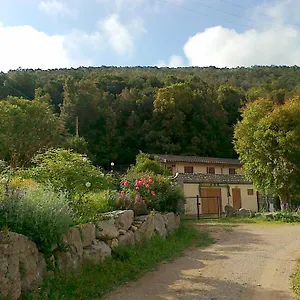 L'amabile Geko Rio Marina
